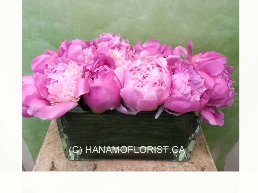 TABL531 Light Pink Peonies Low Arrangement glass table centre